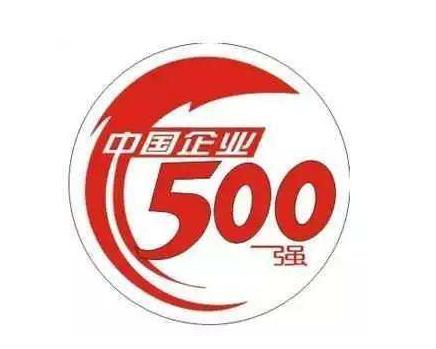 关于我省企业进入中国企业500强情况的报告